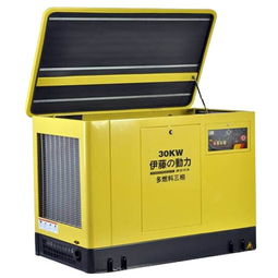 30kw汽油发电机厂